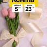 Лента атласная 50мм х 25ярд JD шампань Лента атласная 50мм х 25ярд JD шампань