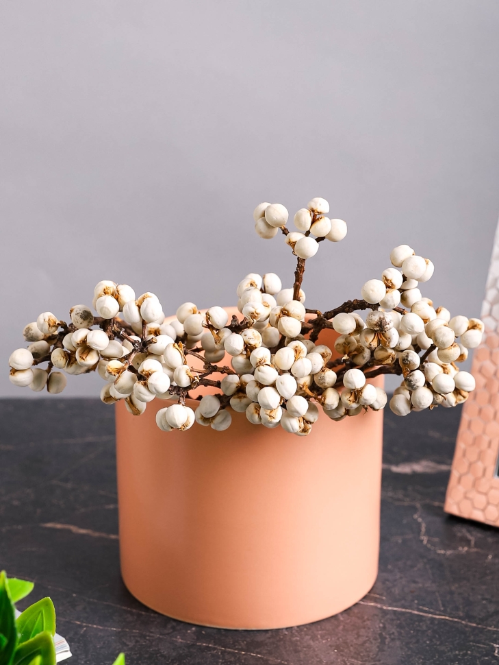 ИЦ Гинкго 50гр 20см натуральный ИЦ Гинкго 50гр 20см натуральный