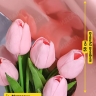 Пленка цветная 35 мкм 58см х 10м РЦ Металлик розовое золото Пленка цветная 35 мкм 58см х 10м РЦ Металлик розовое золото
