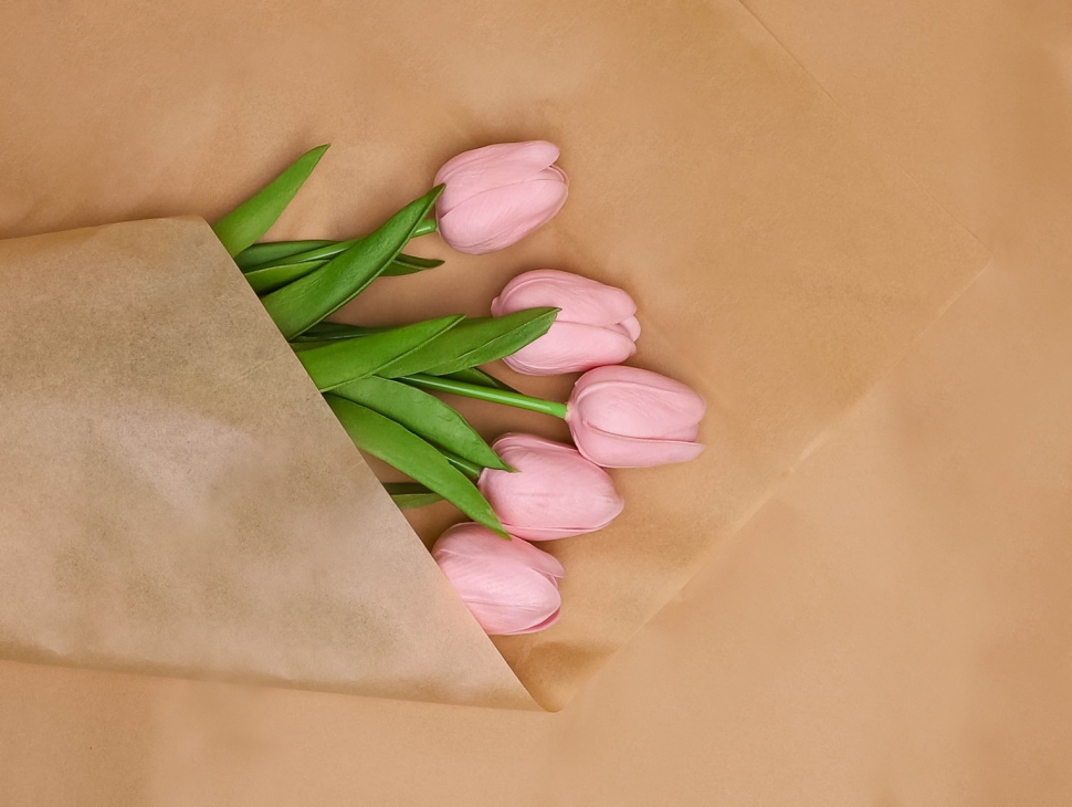 Бумага тишью  50х66см,10 лист. бежевый