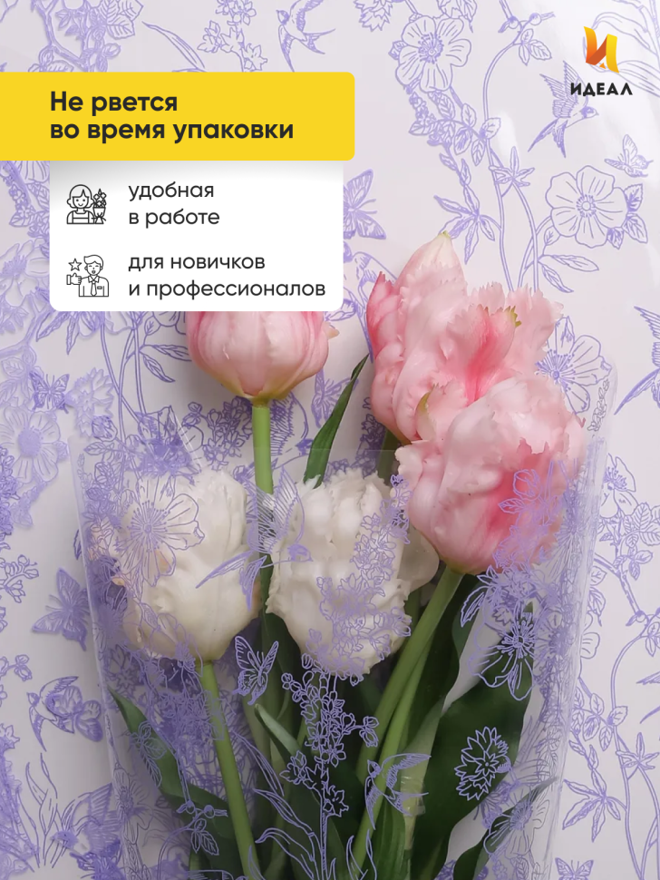Пленка цветная 60см Ласточки сиреневый классик