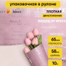 Пленка матовая 65мкм 58см х 10м РЦ с серебряными надписями розовый пыльный/фисташк Пленка матовая 65мкм 58см х 10м РЦ с серебряными надписями розовый пыльный/фисташк
