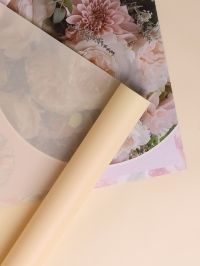 Пленка матовая 40мкм 58см х 10м Воздух шампань