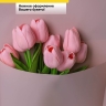 Пленка матовая 60см х 10м на втулке пудра Пленка матовая 60см х 10м на втулке пудра