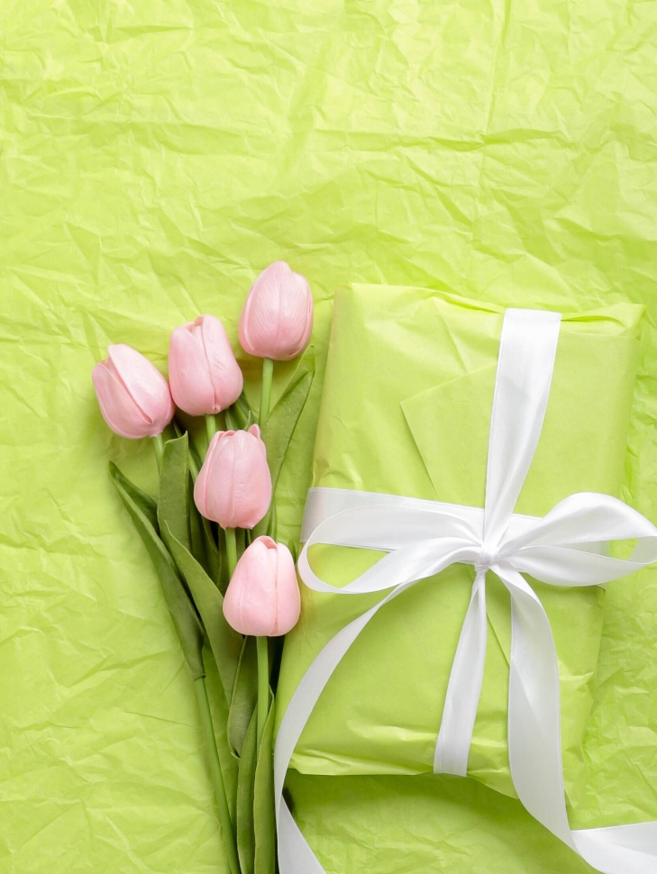 Бумага тишью  50х66см,10 лист. лайм