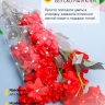 Пакет цветочный Конус 24/60 Уголок рисунок/рисунок горох 50 шт Пакет цветочный Конус 24/60 Уголок рисунок/рисунок горох 50 шт