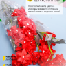 Пакет цветочный Конус 24/60 Уголок рисунок/рисунок горох 50 шт Пакет цветочный Конус 24/60 Уголок рисунок/рисунок горох 50 шт