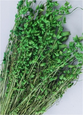 Бриза максима, 50г зеленый LXY008-1