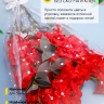 Пакет цветочный Конус 36/80 Супер рисунок/рисунок горох 50 шт