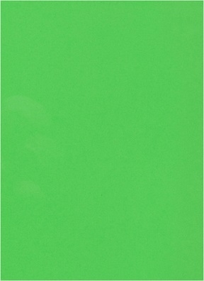 Фоамиран 60х70см 0,8мм 1лист. лайм 031-118