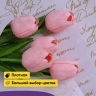 Бумага белая крафт 50г/м2, 70см x 10м Пушкинские строки, золото