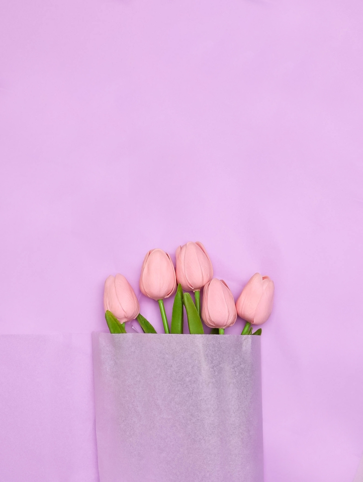 Бумага тишью  50х66см,10 лист. сиреневый светлый