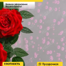 Пленка цветная Пузыри 70см розовый Пленка цветная Пузыри 70см розовый