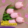 Бумага крафт 40г/м2, 70см x 10м, Ключик к сердцу розовый Бумага крафт 40г/м2, 70см x 10м, Ключик к сердцу розовый