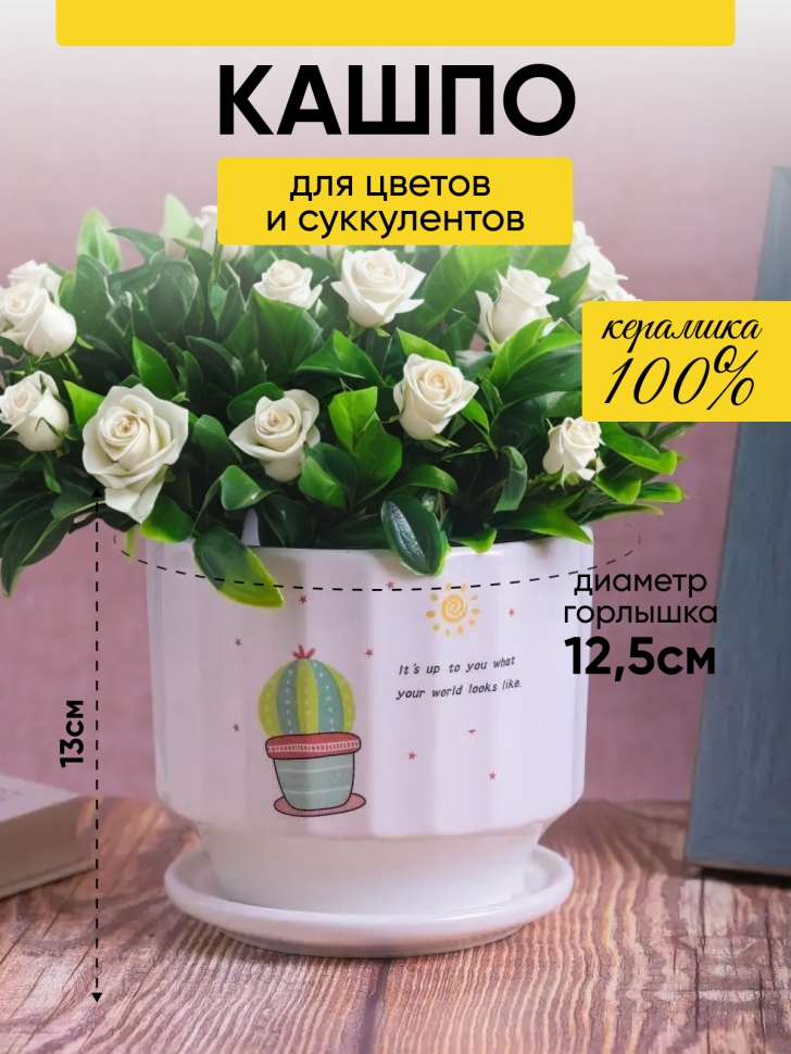 Кашпо керамика 14х14х13см TX5480034 кактус 2 Кашпо керамика 14х14х13см TX5480034 кактус 2
