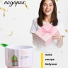 Кашпо керамика 14х14х13см TX5480034 кактус 2 Кашпо керамика 14х14х13см TX5480034 кактус 2