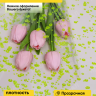Пленка цветная Пузыри 70см салатовый