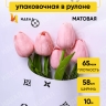 Пленка матовая 65мкм 58см х 10м РЦ Бренд белый Пленка матовая 65мкм 58см х 10м РЦ Бренд белый