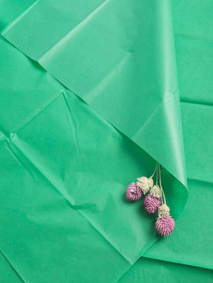 Бумага тишью  50х66см,10 лист. зеленый