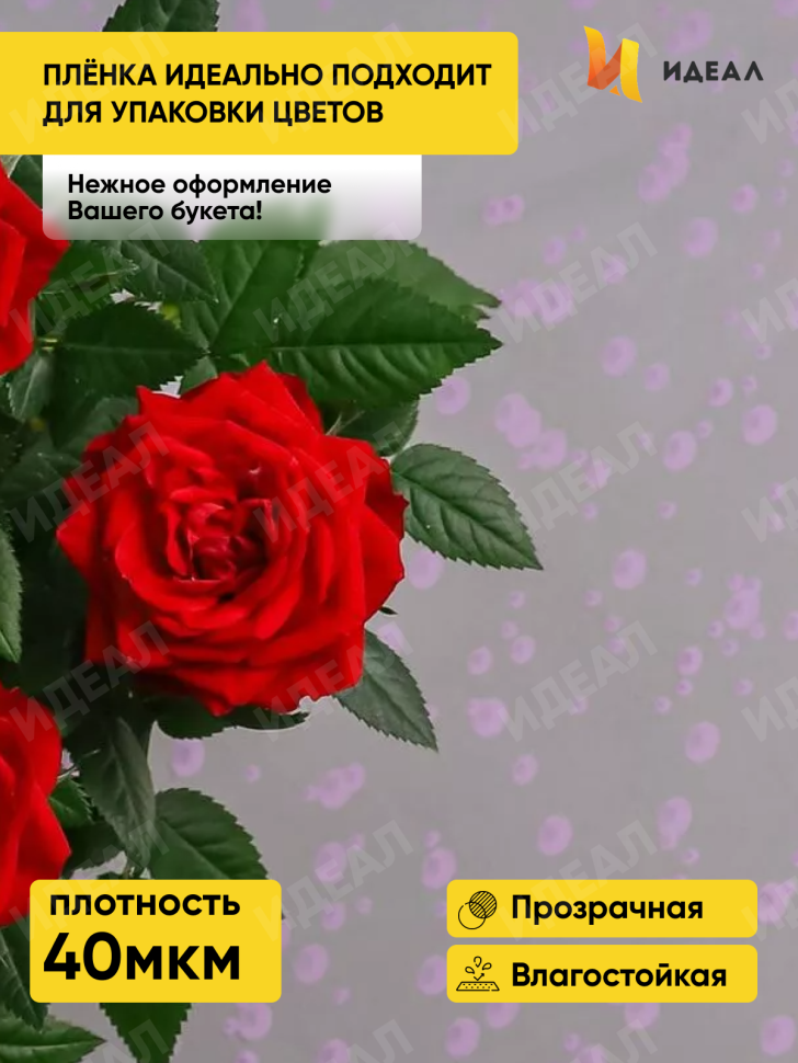 Пленка цветная Пузыри 70см сиреневый Пленка цветная Пузыри 70см сиреневый