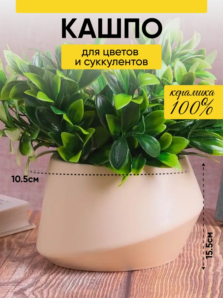 Кашпо керамика 15,5х15,5х9,4см TX5360001 кремовый Кашпо керамика 15,5х15,5х9,4см TX5360001 кремовый