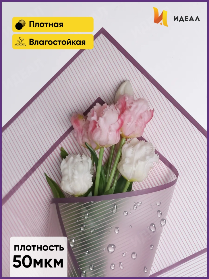 Пленка матовая 58смх58см 10 листов 50мкм РЦ Полоски фиолетовый темный с фиолетовым кантом Пленка матовая 58смх58см 10 листов 50мкм РЦ Полоски фиолетовый темный с фиолетовым кантом
