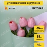 Пленка матовая 65мкм 58см х 10м РЦ Бренд фисташковый Пленка матовая 65мкм 58см х 10м РЦ Бренд фисташковый