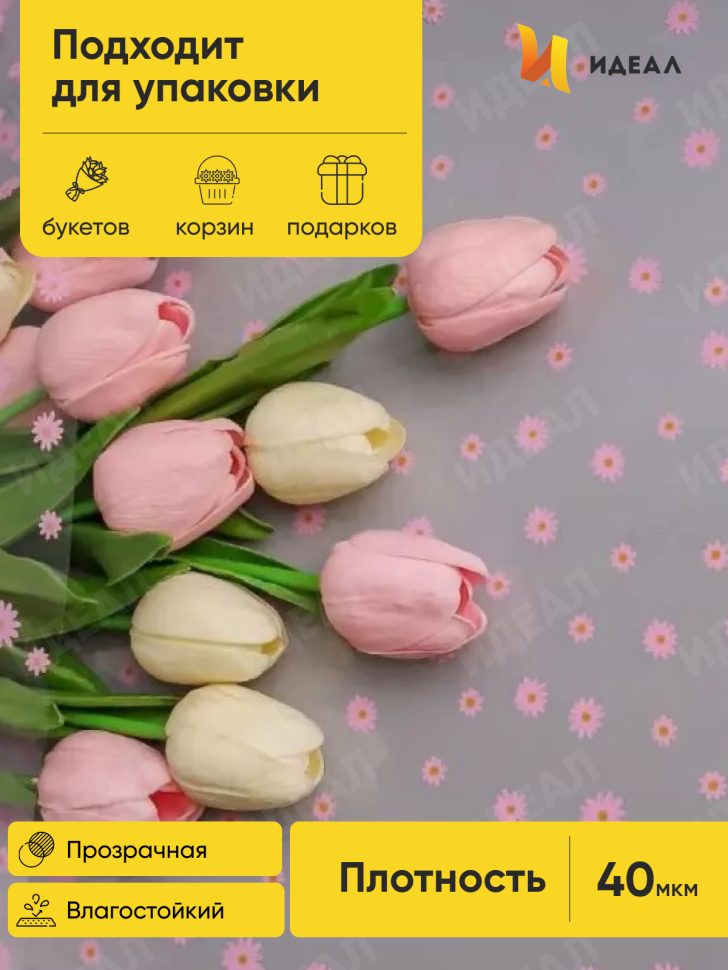 Пленка цветная Маргаритки 70см розово-салатовый