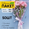 Пакет цветочный Конус 45/50 Одесса цветной рисунок розовый 50 шт Пакет цветочный Конус 45/50 Одесса цветной рисунок розовый 50 шт