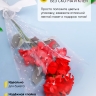 Пакет цветочный Конус 24/60 Уголок рисунок/рисунок цветочки 50 шт Пакет цветочный Конус 24/60 Уголок рисунок/рисунок цветочки 50 шт