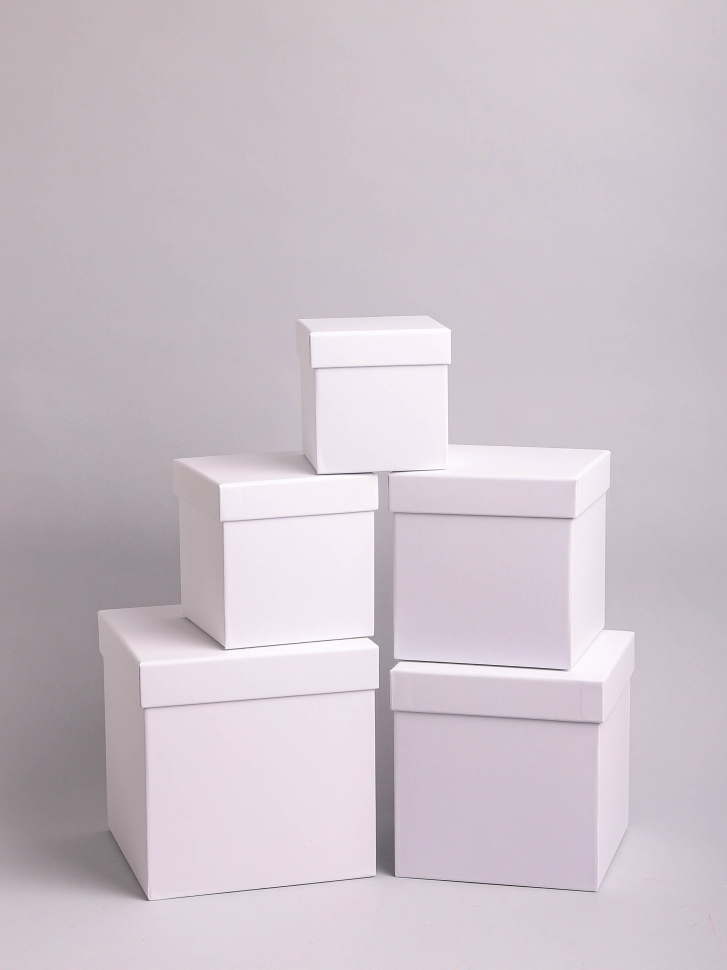 Коробка квадрат набор из 5шт 19x19x19см белый