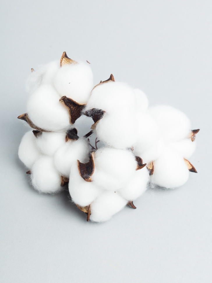 ИЦ Хлопковые коробочки 15шт 5см белый