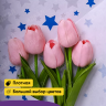 Бумага белая крафт 50г/м2, 70см x 10м Звезды синий/серебро