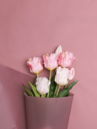 Пленка матовая 40мкм 58см х 10м Воздух марсала