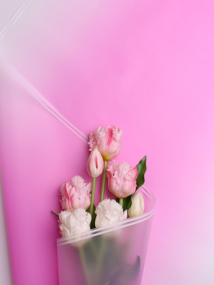 Пленка матовая 50мкм 58см х 10м прозрачный кант лиловый