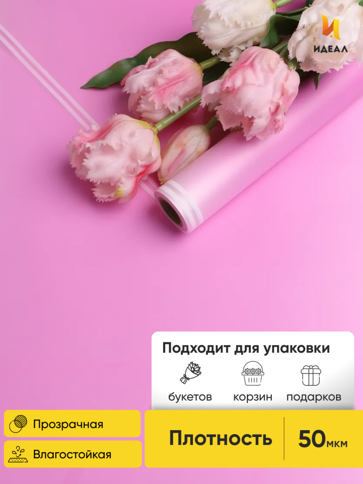 Пленка матовая 50мкм 58см х 10м прозрачный кант лиловый