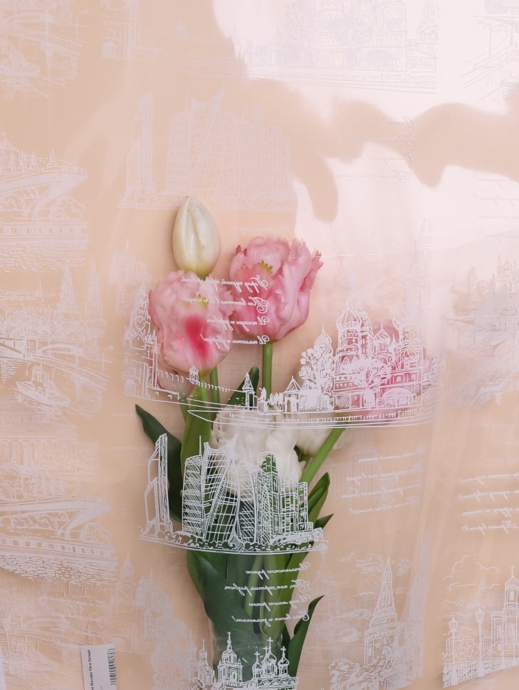 Пленка цветная Россия Москва 70см белый Пленка цветная Россия Москва 70см белый