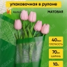 Пленка матовая Листья на кайме 70см x 10м зеленый Пленка матовая Листья на кайме 70см x 10м зеленый