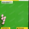 Пленка матовая Листья на кайме 70см x 10м зеленый Пленка матовая Листья на кайме 70см x 10м зеленый