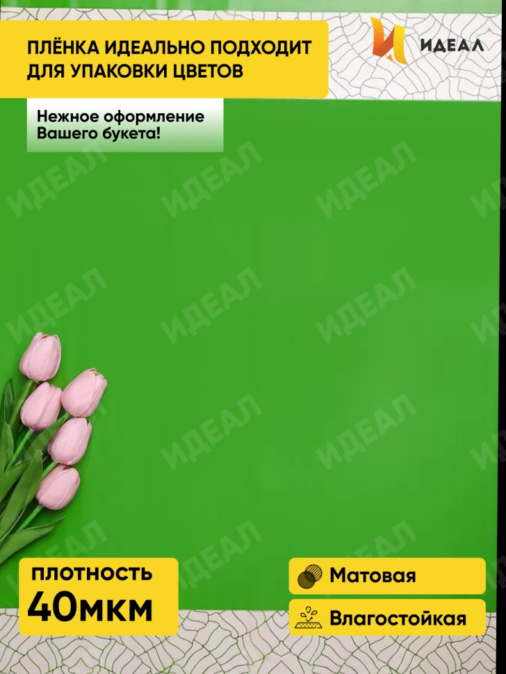 Пленка матовая Листья на кайме 70см x 10м зеленый Пленка матовая Листья на кайме 70см x 10м зеленый