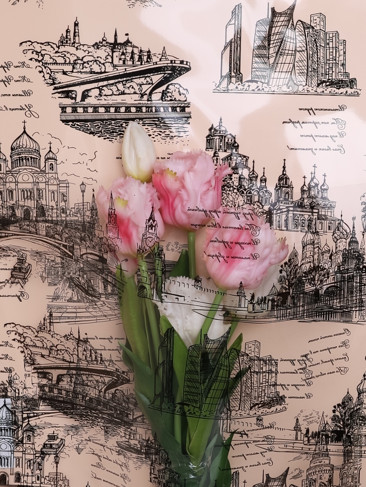 Пленка цветная Россия Москва 70см черный Пленка цветная Россия Москва 70см черный