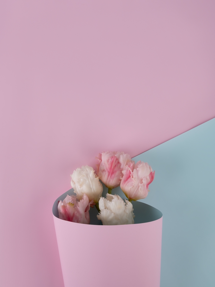 Пленка матовая  60мкм 58см х 10м Двухсторонняя розовый нежный /голубой нежный К