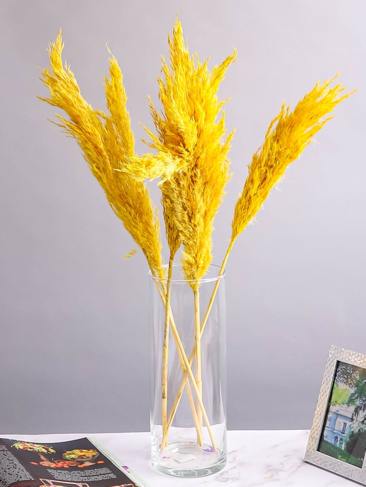 Камыш 65см 40 гр желтый Камыш 65см 40 гр желтый