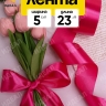 Лента атласная 50мм х 25ярд JD малиновый Лента атласная 50мм х 25ярд JD малиновый