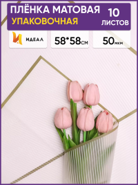 Пленка матовая 58смх58см 10 листов 50мкм РЦ Полоски кремовый с зеленым кантом