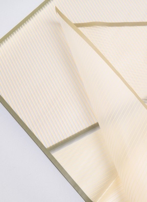 Пленка матовая 58смх58см 10 листов 50мкм РЦ Полоски кремовый с зеленым кантом