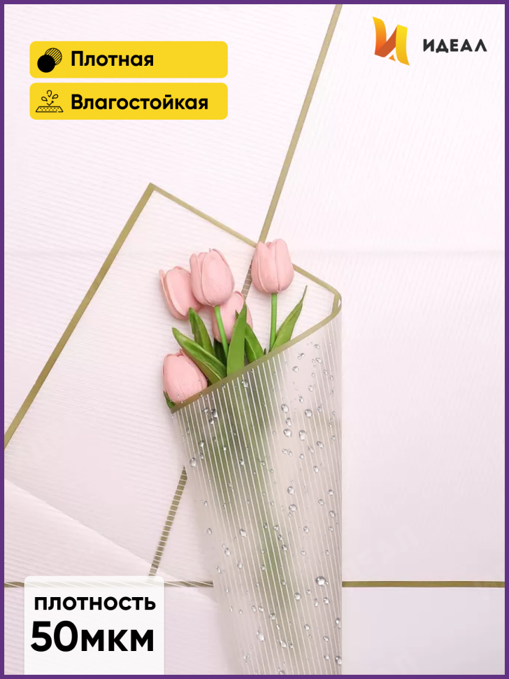 Пленка матовая 58смх58см 10 листов 50мкм РЦ Полоски кремовый с зеленым кантом