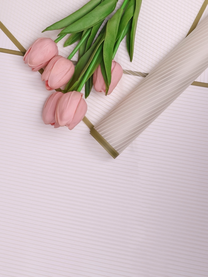 Пленка матовая 58смх58см 10 листов 50мкм РЦ Полоски кремовый с зеленым кантом