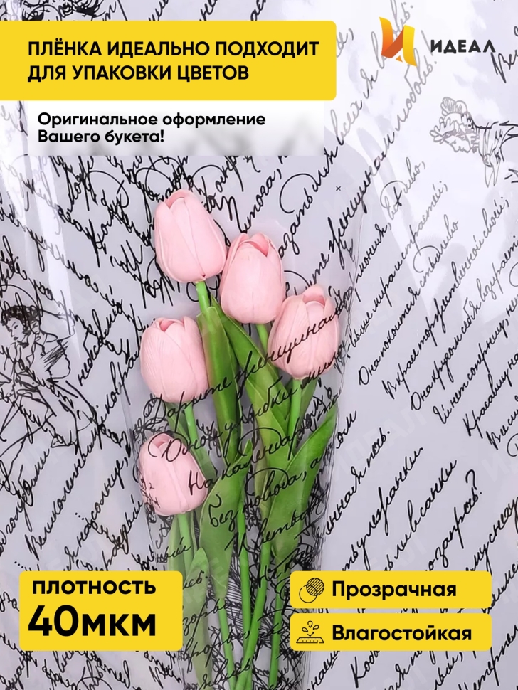 Пленка цветная Пушкинские строки 70см черный