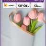 Пленка матовая 58смх58см 10 листов 50мкм РЦ кант Розовое золото,  небесный